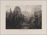 KG 14127
          <br/>
          Een sparrenbos
          <br/>
          <em>Calame, Alexandre (1810 - 1864)</em>